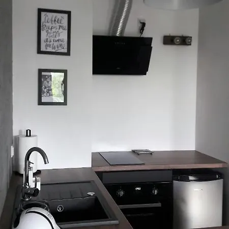 Silver In Wilanow * Warschau